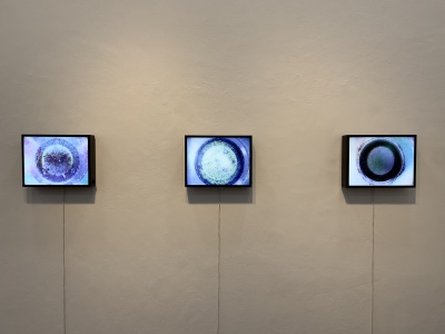 Exposição 'Outros Viajantes' está aberta à visitação na Galeria Ruy Meira